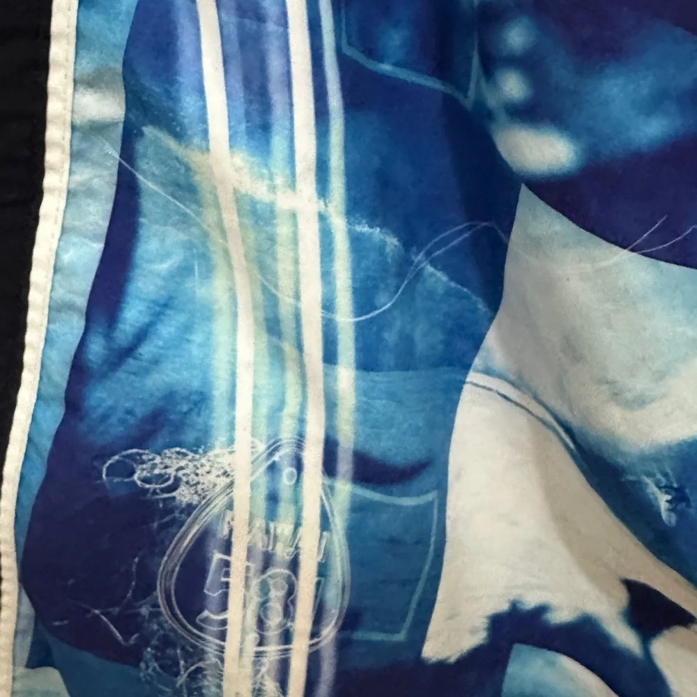 250 Hawaiian 581 | EUC Brazil Men’s Vintage Blue Surf Print Board Shorts (Sz 29)